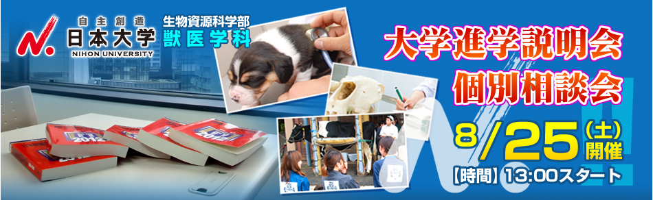 未来の医療人になる！医学部受験！獣医学部受験！現役生受験！徹底少人数制　生徒第一主義の医学部・獣医学部専門予備校　IMU（アイエムユー）