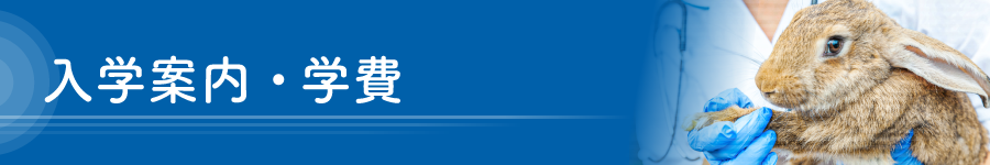 入学案内・学費