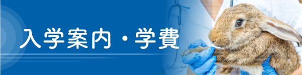 入学案内・学費